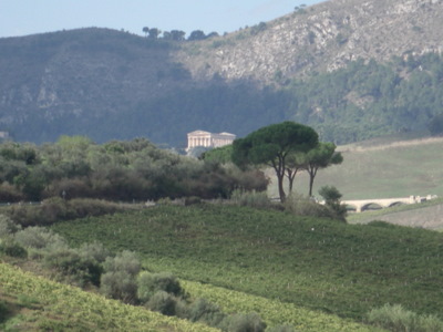 Temple of Segesta.